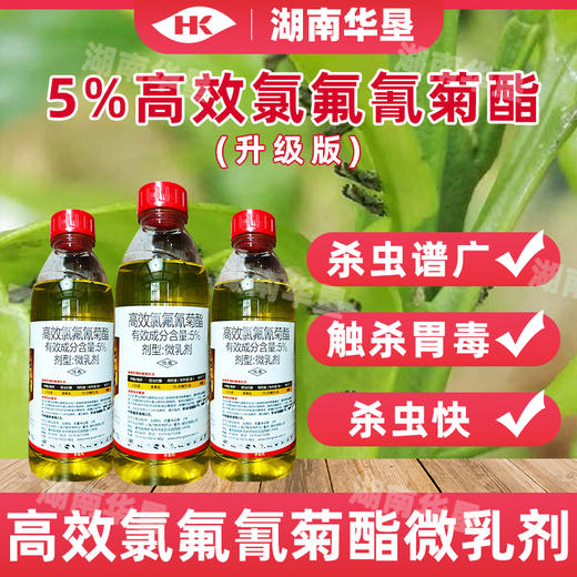 高效氯氟氰菊酯升级版小白菜菜青虫杀虫剂功夫菊酯杀虫农用农药 商品图4