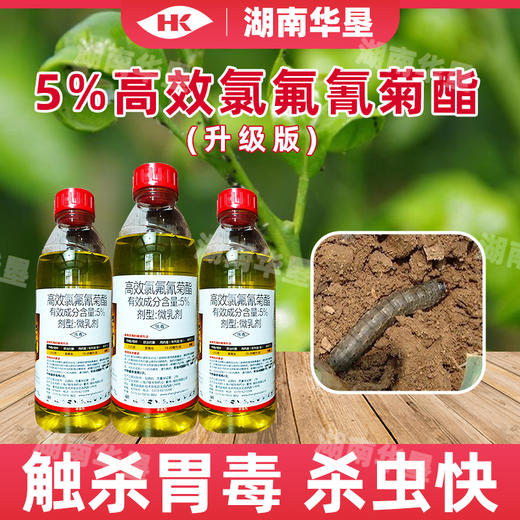 高效氯氟氰菊酯升级版小白菜菜青虫杀虫剂功夫菊酯杀虫农用农药 商品图1