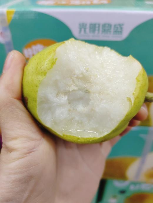 蓝箱库尔勒香梨一箱 商品图3