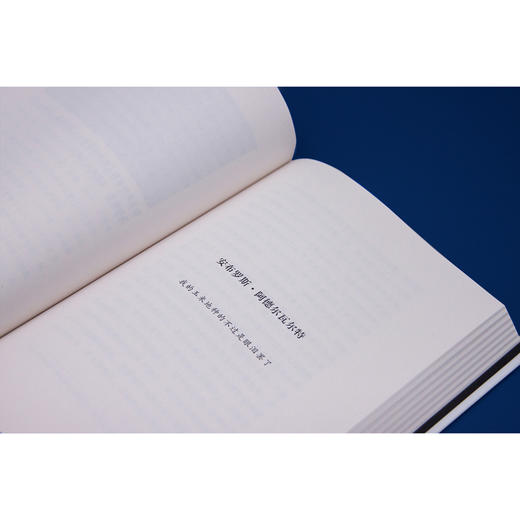 新民说·移民 （德）温弗里德·塞巴尔德 著 商品图6