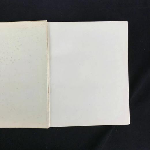 约20世纪早期 国王阿尔贝一世之书 数十幅插图 漆布精装16开 商品图2