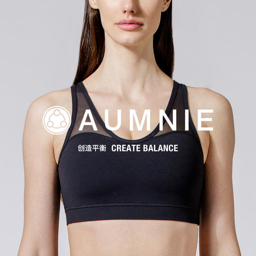 【AUMNIE】端庄网纱胸围 DEMURE MESH BRA 商品图1