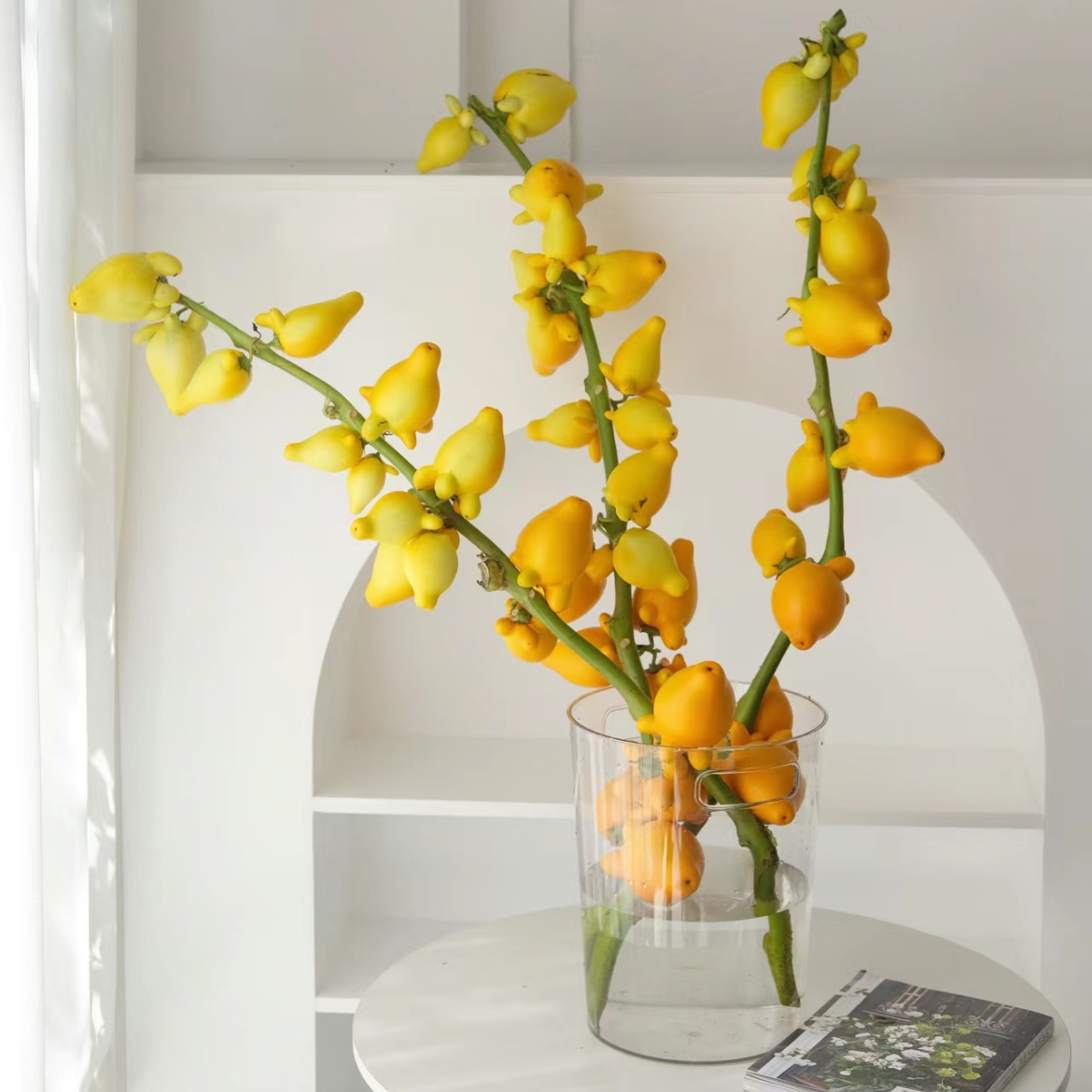 五代果丨1支丨【颜色有绿有黄，都会变黄，运输易掉果，不售后介意勿拍】