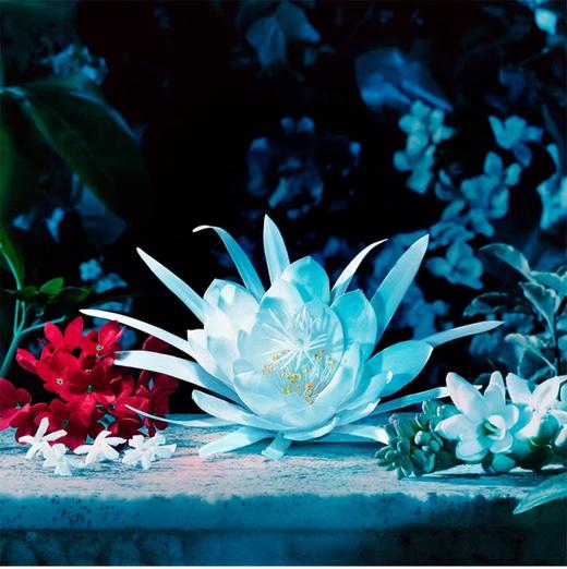 GUCCI彩妆 古驰 花悦魅意女士香水 商品图2