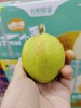 蓝箱库尔勒香梨一箱 商品缩略图2