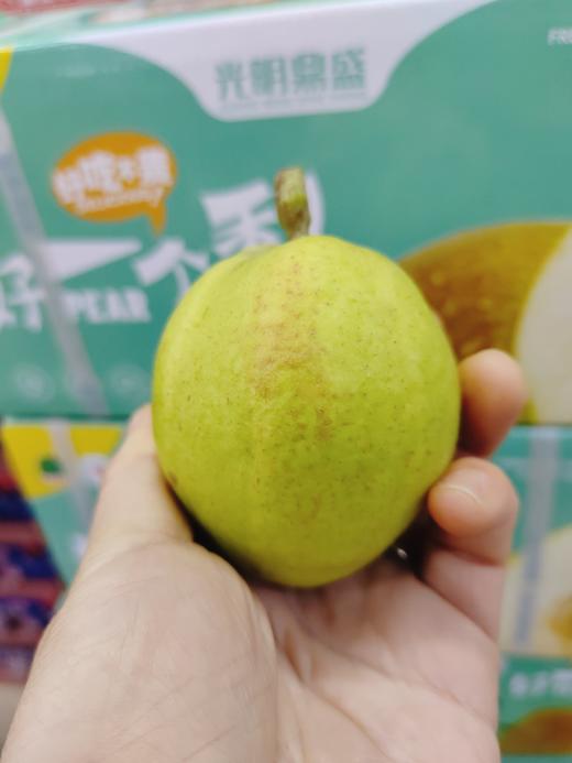 蓝箱库尔勒香梨一箱 商品图2