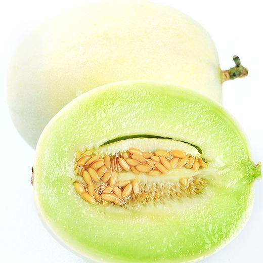玉奶香瓜约1.7~2.1kg/份 商品图1