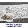 【大彩图】陈军横幅工笔画白描底稿《翠玉春晖》孔雀临摹勾线花鸟线稿CJ46 商品缩略图1
