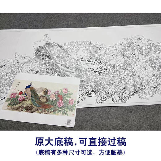【大彩图】陈军横幅工笔画白描底稿《翠玉春晖》孔雀临摹勾线花鸟线稿CJ46 商品图1