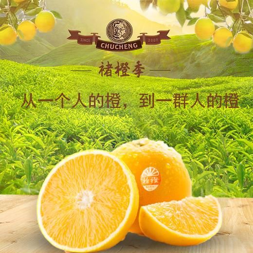 褚橙一级果（10斤装） 商品图1