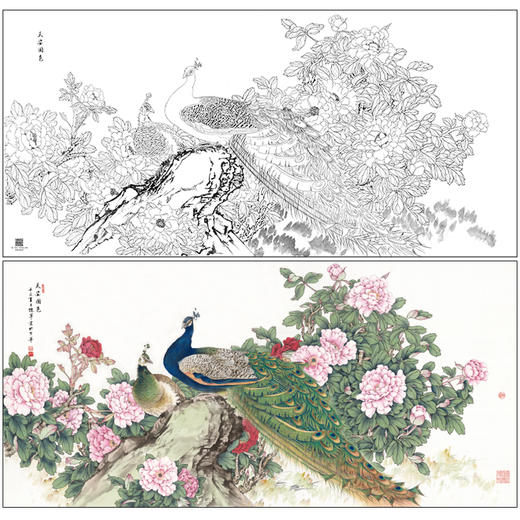 【大彩图】陈军横幅工笔画白描底稿《孔雀》临摹勾线花鸟线稿CJ42 商品图0