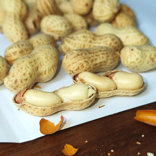 『新会陈皮小花生』喝茶下酒伴侣，酥酥脆脆不上火，一嚼满口生香 商品图1