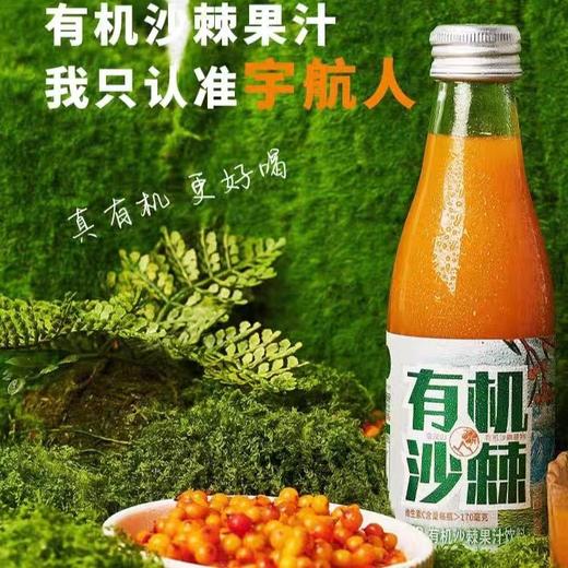 宇航人V9有机沙棘果汁饮料 商品图0
