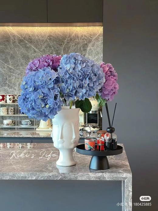 缤纷绣球 商品图3