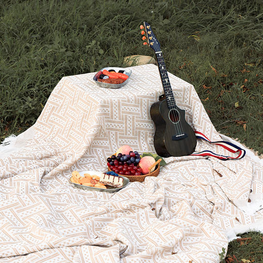 百货世界-飞图乐INS法式露营毯 0.9*1.8mLYT01（象印专柜） 商品图0