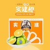 实建橙（约10斤） /件 /件 商品缩略图0