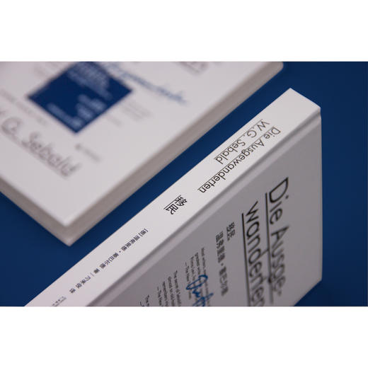 新民说·移民 （德）温弗里德·塞巴尔德 著 商品图2