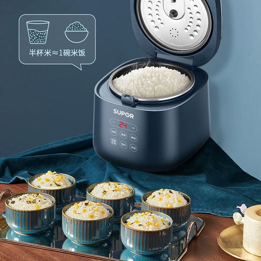 苏泊尔（SUPOR）电饭煲2L小型2-3人家用多功能不粘小容量宿舍单人煮粥热饭电饭锅智能预约小功率 SF20FC45 商品图3