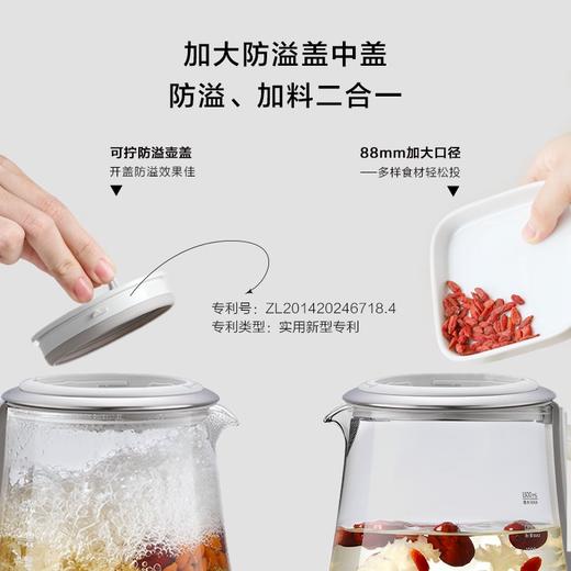 北鼎（Buydeem） 养生壶 全自动静音温泡银耳壶 家用花茶壶养生茶壶 大容量煮茶器煮茶壶 耐煮食材专用壶 恒温水壶 【本白色】K118温泡银耳多功能 商品图4
