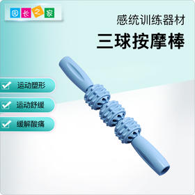 感统—三球按摩棒