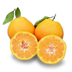 耙耙柑 约800g/份