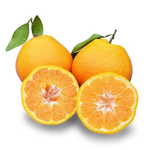 耙耙柑 约800g/份 商品图0