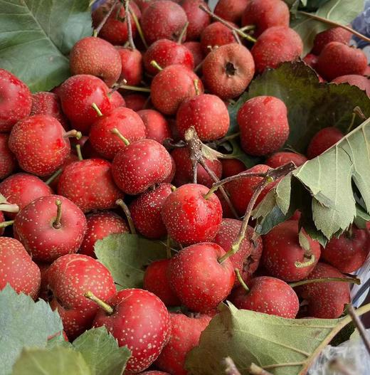 山楂树莓蛋糕 商品图4