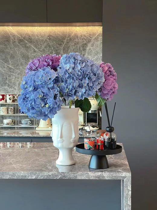 缤纷绣球 商品图5