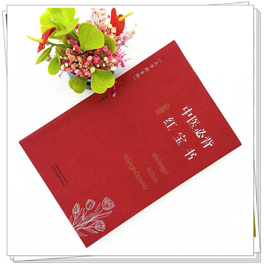 中医必背红宝书（大字拼音版）刘更生 主编 中国中医药出版社中医基础 入门 黄帝内经 难经 温病条辩 伤寒论 金匮要略书籍 商品图1