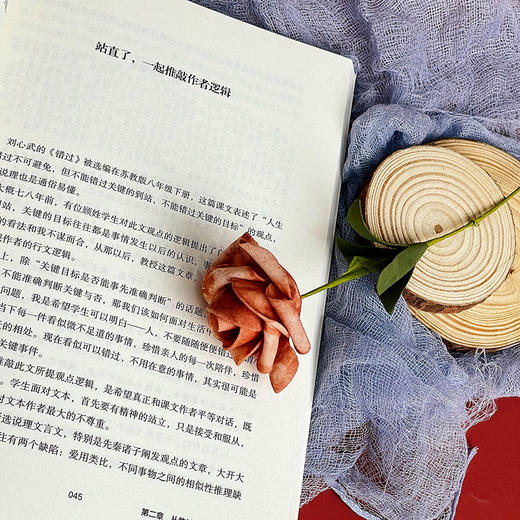 寻找语文的可能性 大夏书系 语文之道 中学语文课堂 教学实践 商品图7