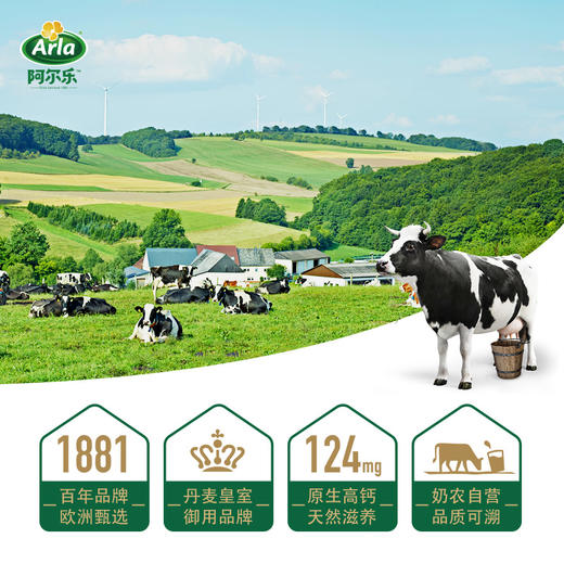 德国进口阿尔乐全脂纯牛奶1L 商品图3