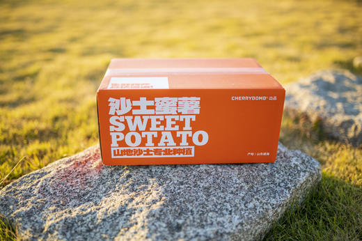 沙土蜜薯已糖化好（烟薯25/白哈密）  申通快递 商品图13