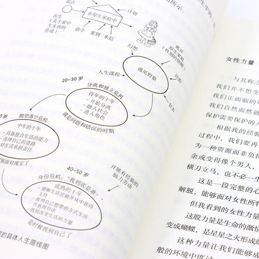 我们*是小红帽 从童话中解读女性心灵成长 女性心理学书籍女性成长励志女性主义她世界两性心理女性情绪心理学静心 商品图4