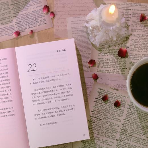 温柔亲启：艾米莉·狄金森与苏珊·亨廷顿·狄金森私信集 商品图1