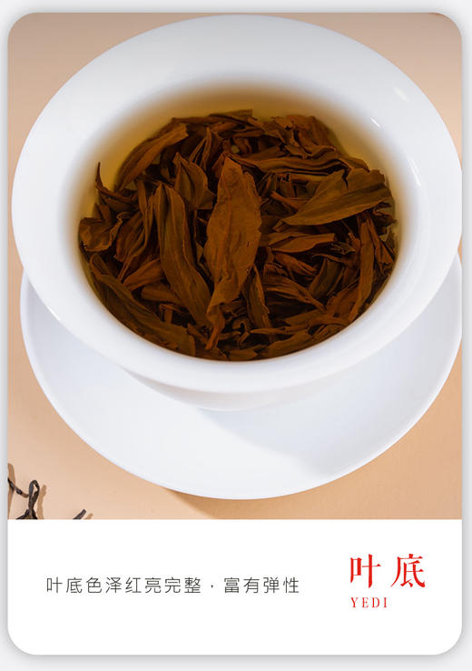 凤宁号  |  2024年国色天香 高香滇红100g/罐 商品图4