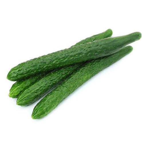 黄瓜 约1000g/份