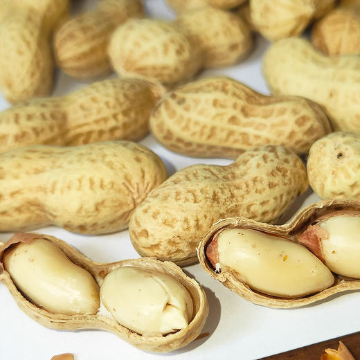 『新会陈皮小花生』喝茶下酒伴侣，酥酥脆脆不上火，一嚼满口生香 商品图2