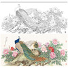 【大彩图】陈军横幅工笔画白描底稿《翠玉春晖》孔雀临摹勾线花鸟线稿CJ46 商品缩略图0