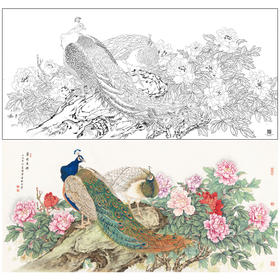 【大彩图】陈军横幅工笔画白描底稿《翠玉春晖》孔雀临摹勾线花鸟线稿CJ46