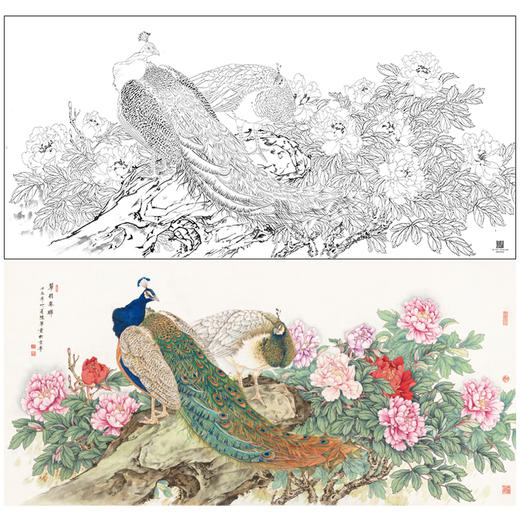 【大彩图】陈军横幅工笔画白描底稿《翠玉春晖》孔雀临摹勾线花鸟线稿CJ46 商品图0