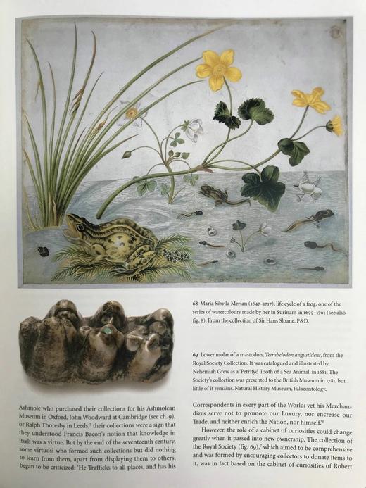 启蒙运动：发现十八世纪的世界 245幅彩色25幅黑白插图 精装16开 商品图14