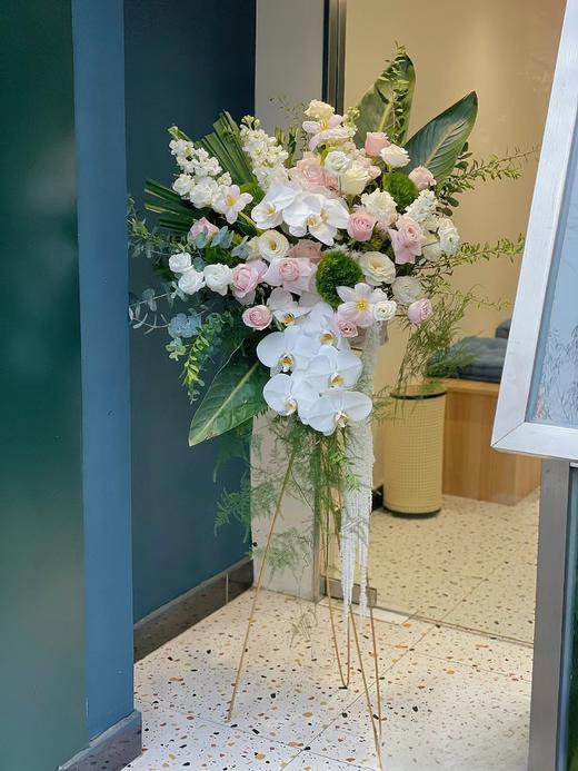 缤纷绣球 商品图2