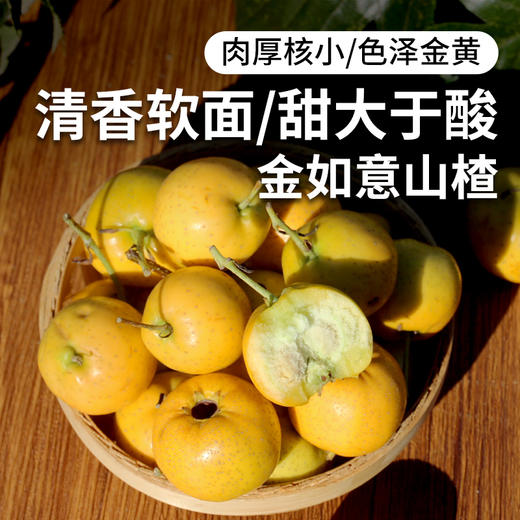 金如意山楂  清香软面  色泽金黄  核小肉厚  甜大于酸  黄山楂  300g 商品图0