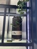 新品上市！【年迹·大红袍2021年】 商品缩略图8