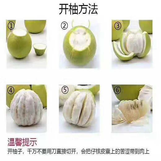 【顺丰快递】正宗广东梅州沙田柚 当季最鲜柚子 新鲜水果 BDF 商品图8