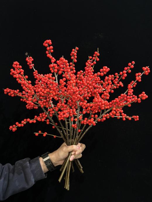 天物状元红特级北美冬青富贵籽 商品图14