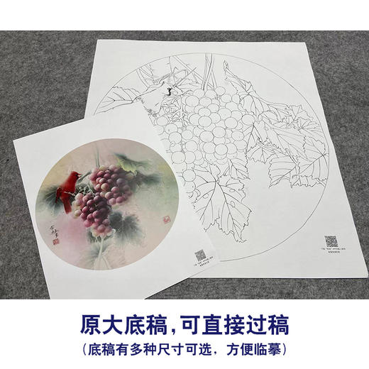 【大彩图】龚雪青工笔画白描底稿圆形小品《葡萄红雀图》临摹勾线花鸟线稿XQ01 商品图1