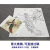 【大彩图】陈军工笔画白描底稿小品《孔雀》临摹勾线花鸟线稿 CJ59 商品缩略图1