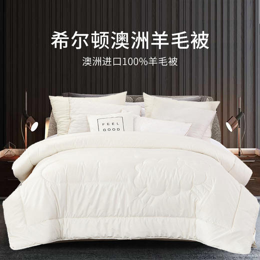 睡眠管家希尔顿酒店100%澳洲进口羊毛被 | 吸湿、透气，面料防螨工艺，睡眠更安心 商品图1