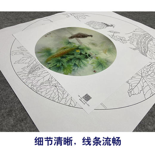 【大彩图】龚雪青工笔画白描底稿圆形小品《苦瓜斑鸠》临摹勾线花鸟线稿XQ02 商品图4